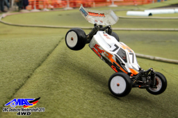 2015 DM 4WD Buggy 4WD Juni